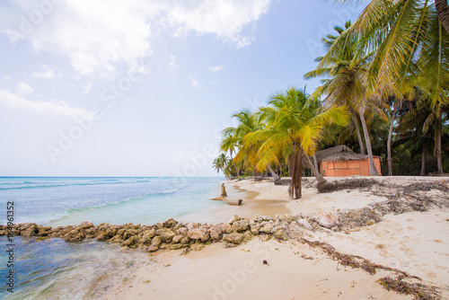 View of the sandy beach of Saona Island, La Altagracia, Dominican Republic. Copy space for text.