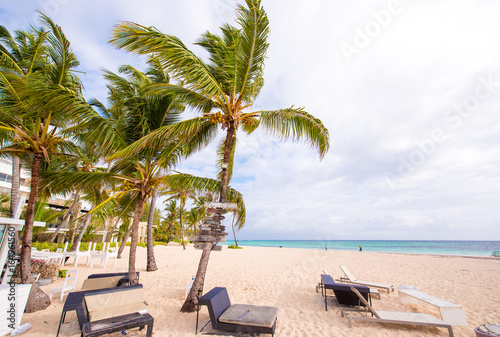 View of the sandy beach in Punta Cana, La Altagracia, Dominican Republic. Copy space for text.