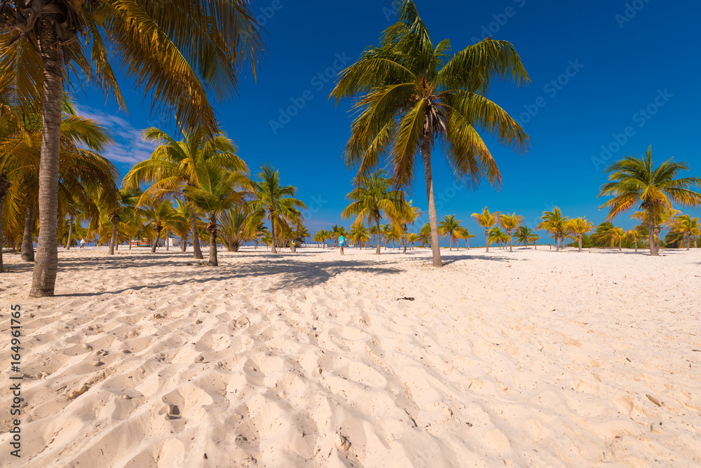 White sand and palm trees on the beach Playa Sirena, Cayo Largo, Cuba. White sand and palm trees on the beach Playa Sirena, Cayo Largo, Cuba.