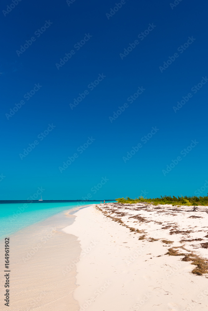 Sandy beach Playa Paradise of the island of Cayo Largo, Cuba. Copy space for text. Vertical.