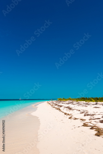 Sandy beach Playa Paradise of the island of Cayo Largo  Cuba. Copy space for text. Vertical.