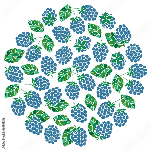 Natural fruits and berries round symbol with fresh  raspberry.