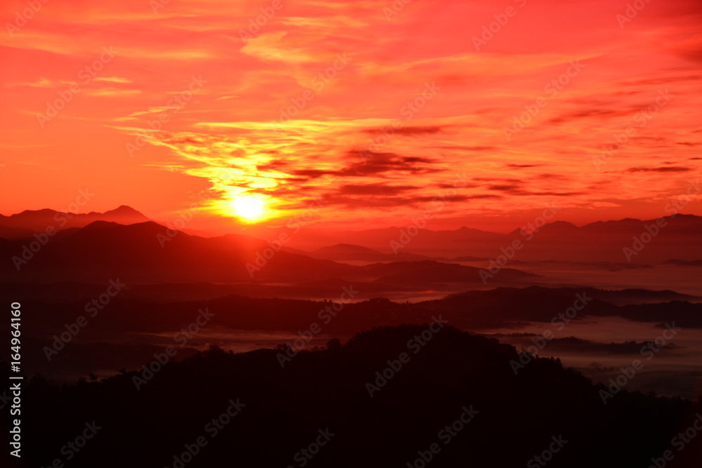 Fototapeta premium artistico