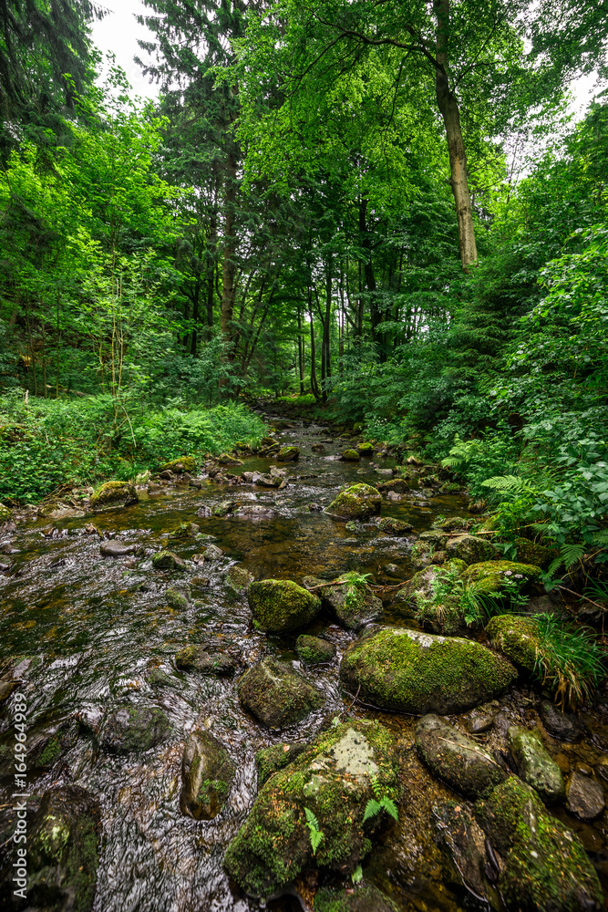 Ein Bach im Harz 