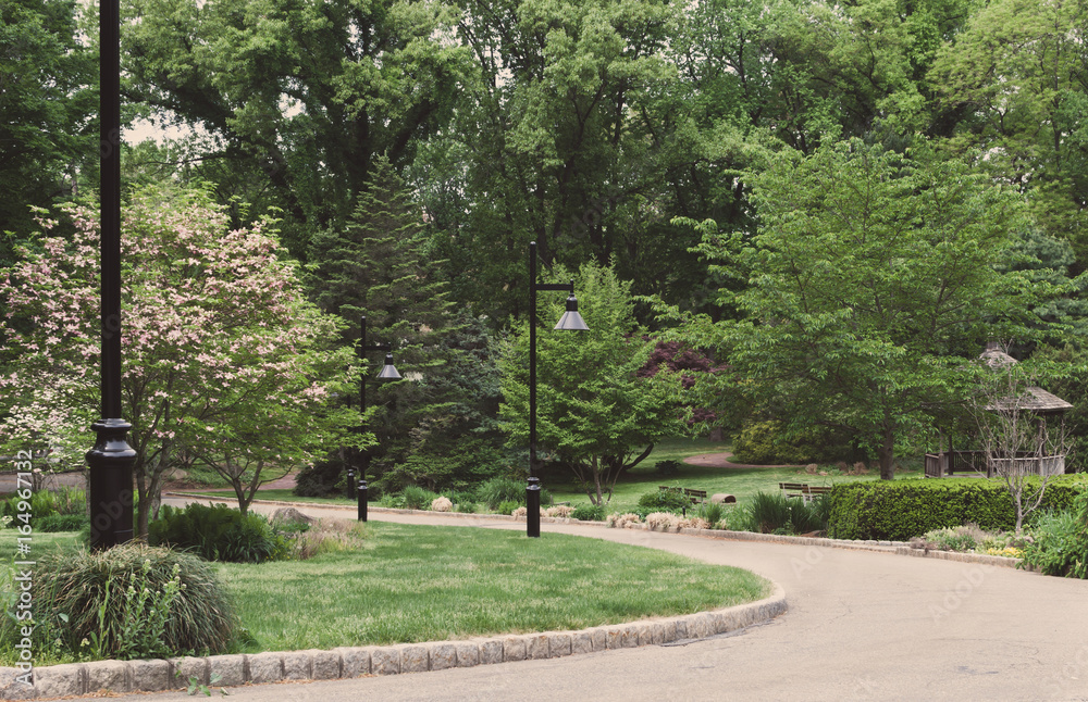 Nature walk pathway. Path down curved road. Black street steel lamps on manicured landscaping.Shrub and trees down street. Secret garden walkway. Nature walk pathway. Path down curved road. Black street steel lamps on manicured landscaping.Shrub and trees down street. Secret garden walkway.