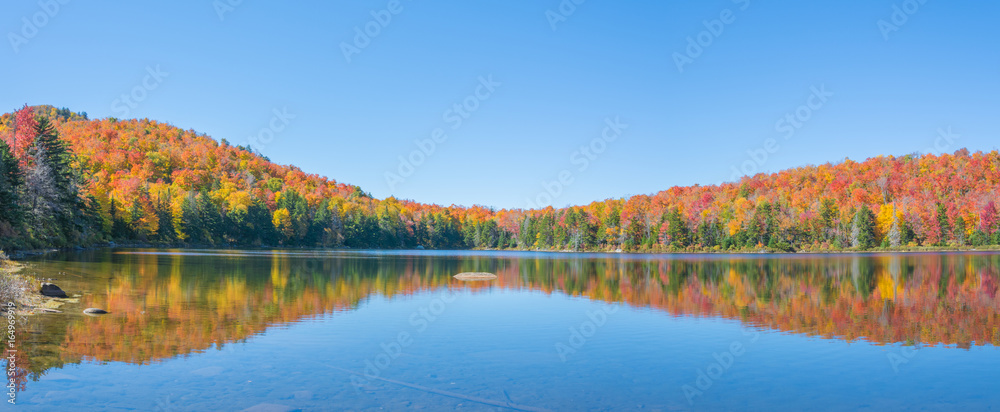 Naklejka premium An Enchanting Pond With Fall Foliage 