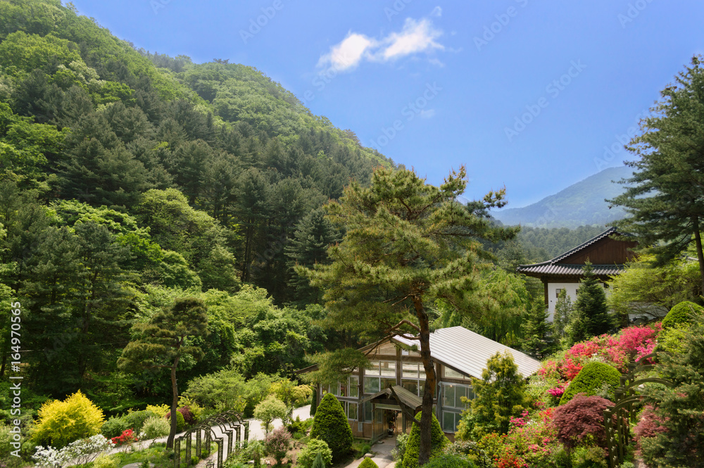 traditional korean garden with green house 