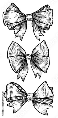 Bow, ribbon illustration, drawing, engraving, ink, line art, vector