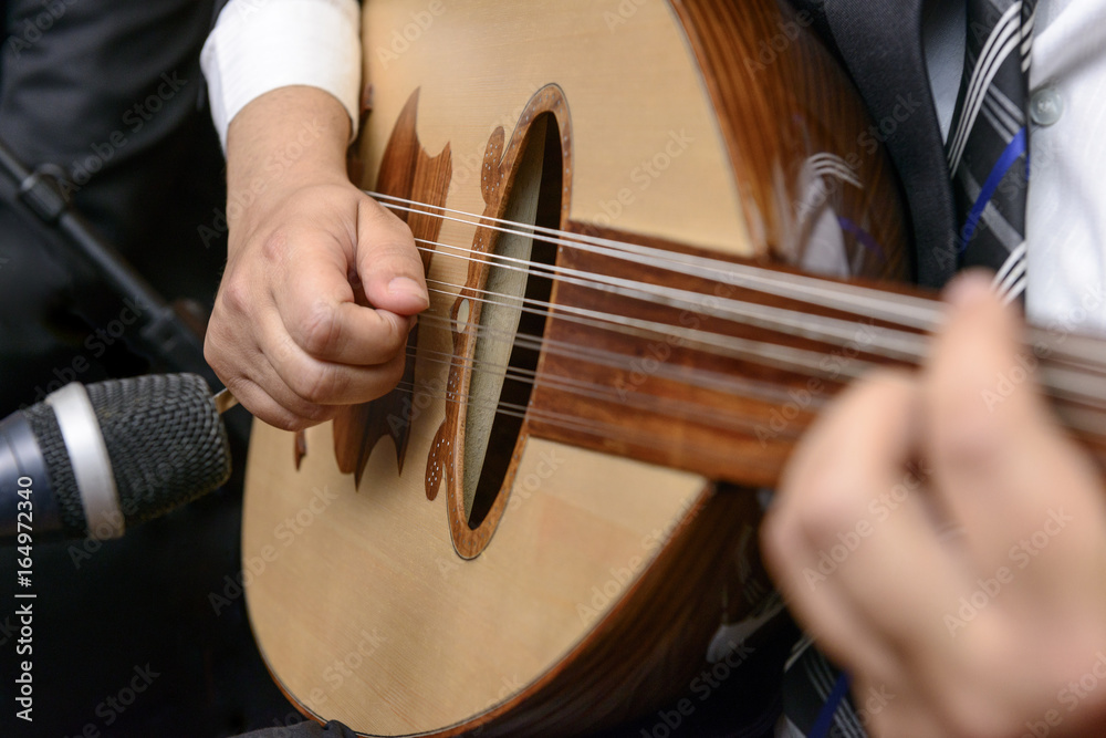 Fototapeta premium Musician Playing Note on Lute