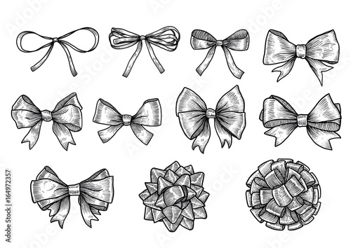 Bow, ribbon illustration, drawing, engraving, ink, line art, vector