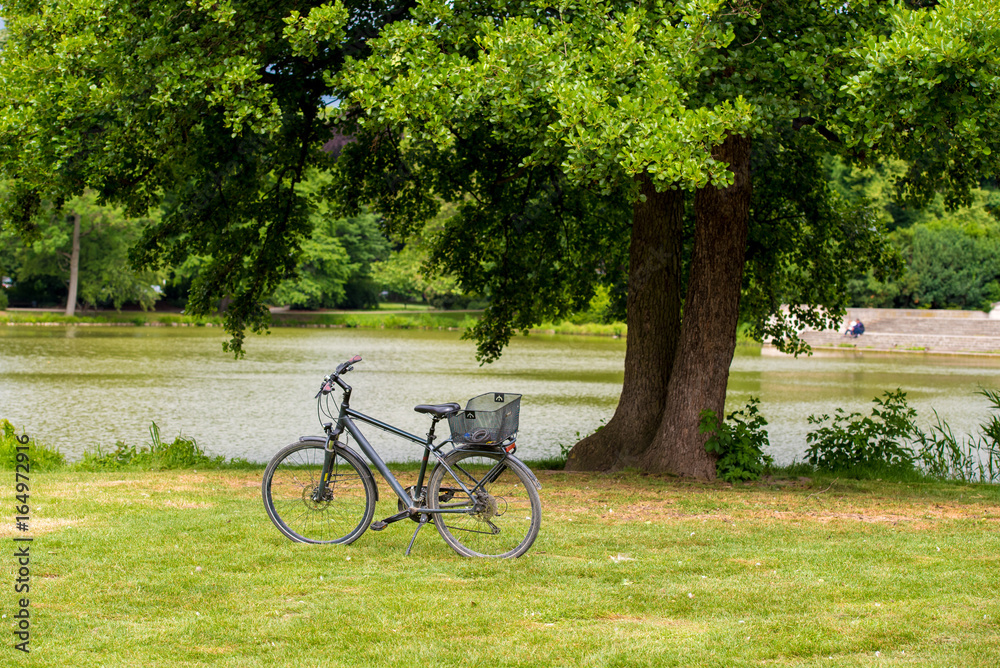 Bicycle on the green lawn, Hannover, Lower Saxony, Germany. Copy space for text.