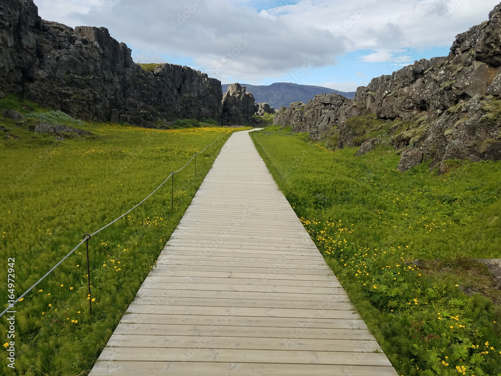 Long wooden walkway through green field and mountains