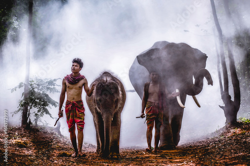 Photography An elephant mahout and elephant walking through the haze in the jungle