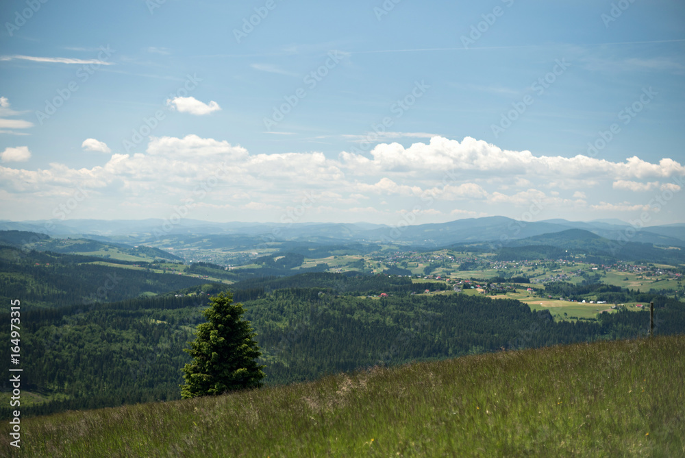 landscape Mountain View