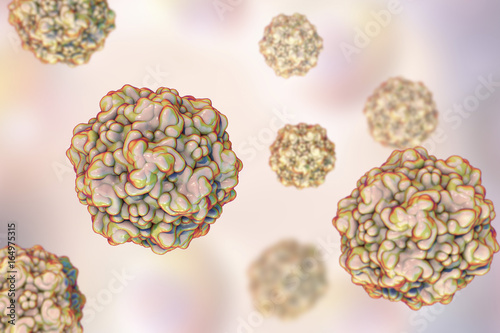 Foto Feline panleukopenia virus, also called as feline infectious enteritis virus or cat plague