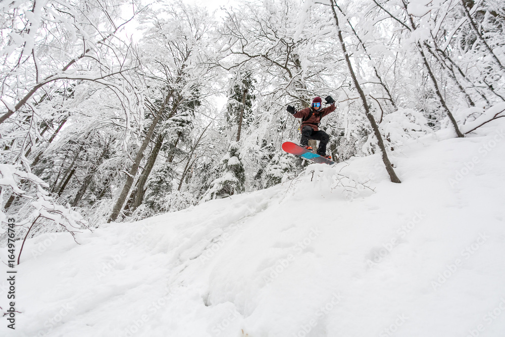 snowboarding in the forest. Powder snowboarding in Japan, powder ride, rider in the forest, powder day. Snowboarder. Snowboard. snowboarding.