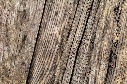 Old, Weathered, Cracked Pinewood Floorboards, Rotten Grunge Texture.