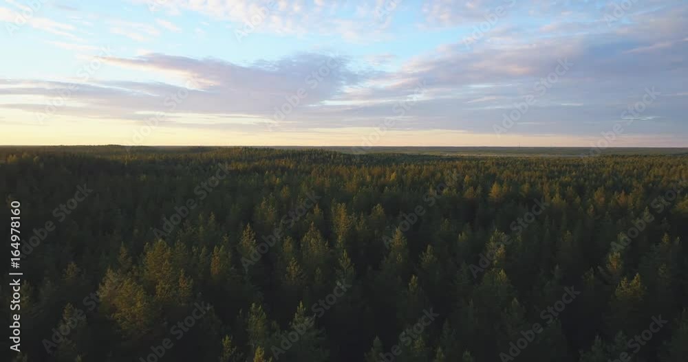 Flight above forest at sunset. Beautiful summer landscape.Aerial footage. Flight above forest at sunset. Beautiful summer landscape.Aerial footage.