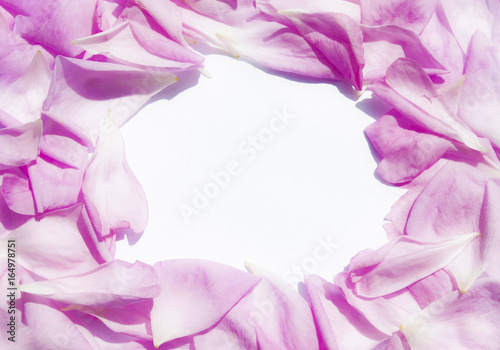 Rosenblütenblätter Textur mit Textfreiraum, Valentinstag, Muttertag