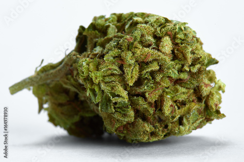 Close up of Bubba Kush medical marijuana strain on white