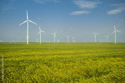 Eolian generators in a beautiful wheat field. eolian turbine farm wind turbine  wind field with wind turbines. Wind propeller. Wheat Fiel Agriculture. 