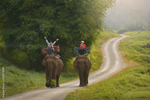 Photography Two female tourists ride elephants through the jungle in northern Laos