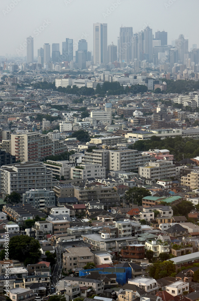 日本の東京都市風景（新宿の高層ビル群などを望む）