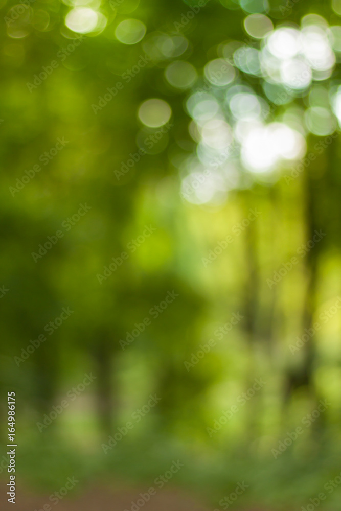 Blurry nature wallpaper. Forest bokeh background. Vertical defocused backdop.