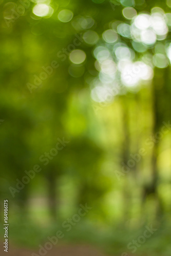 Obraz na płótnie Blurry nature wallpaper. Forest bokeh background. Vertical defocused backdop. w salonie