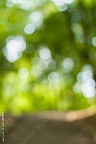 Obraz na płótnie Blurry nature wallpaper. Forest bokeh background. Vertical defocused backdop. w salonie