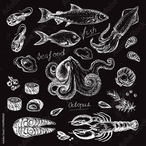 Octopus, squid, salmon, mussels, oysters, shrimps, lobster, fish. Hand drawn set seafood on a black background
