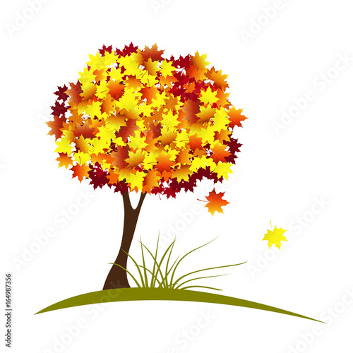 Autumn maple tree with red and yellow falling leaves. Hand drawn vector illustration on white background for greeting card design.