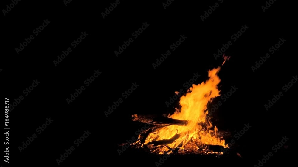 Fire in nature. Bokeh from the fire. Fire in nature. Bokeh from the fire.