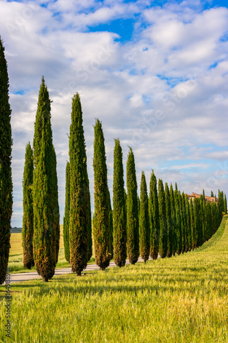 Beautiful Tuscany landscape