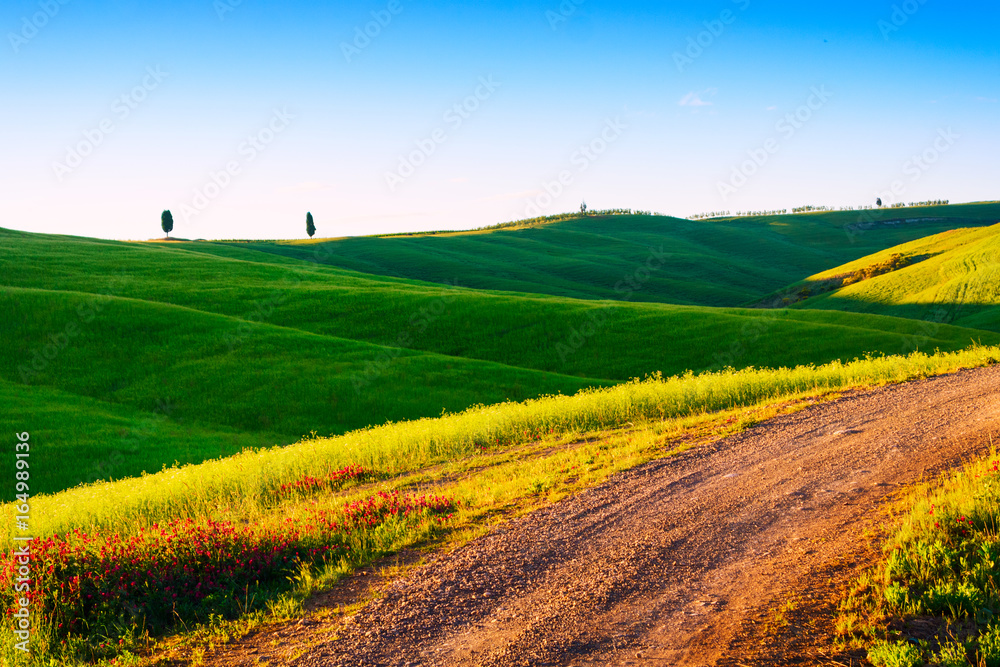 Beautiful Tuscany landscape