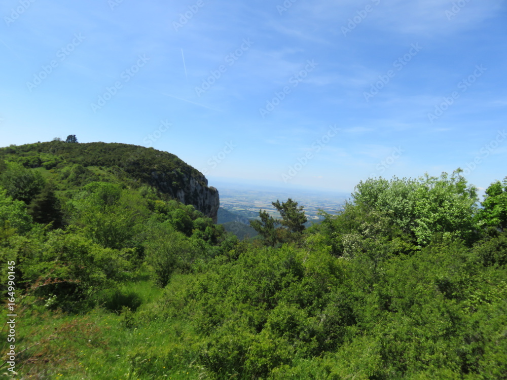 Pré dans le Vercors