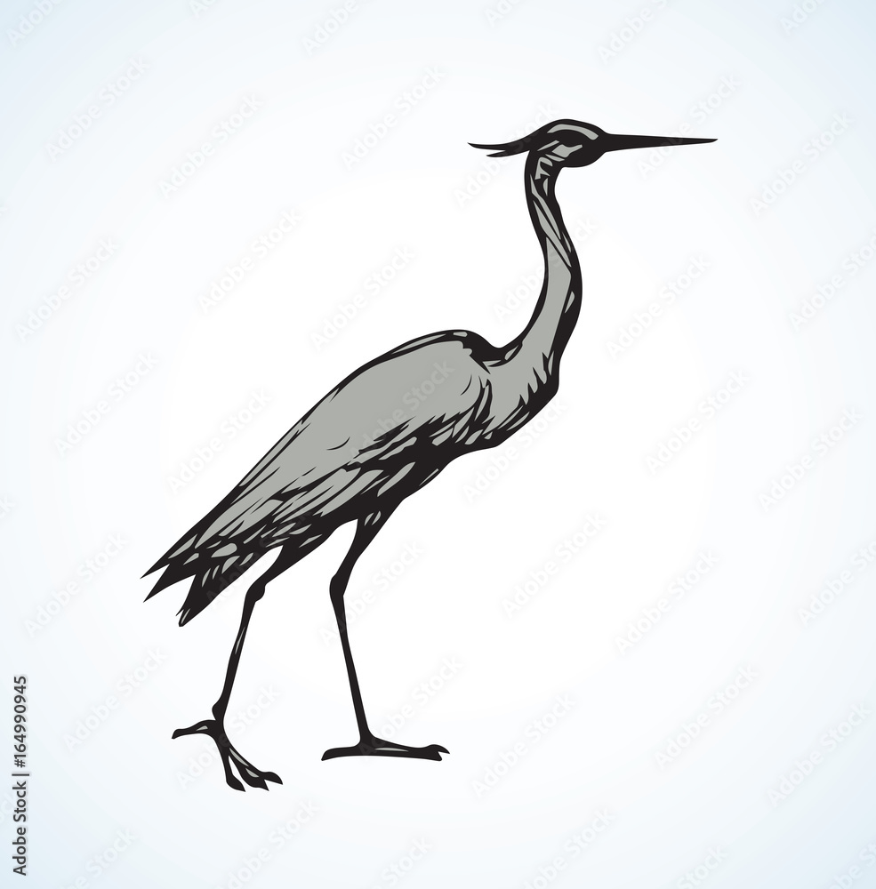 Obraz premium Stork. Vector drawing