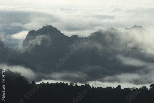 The tropical mountains forest in Thailand