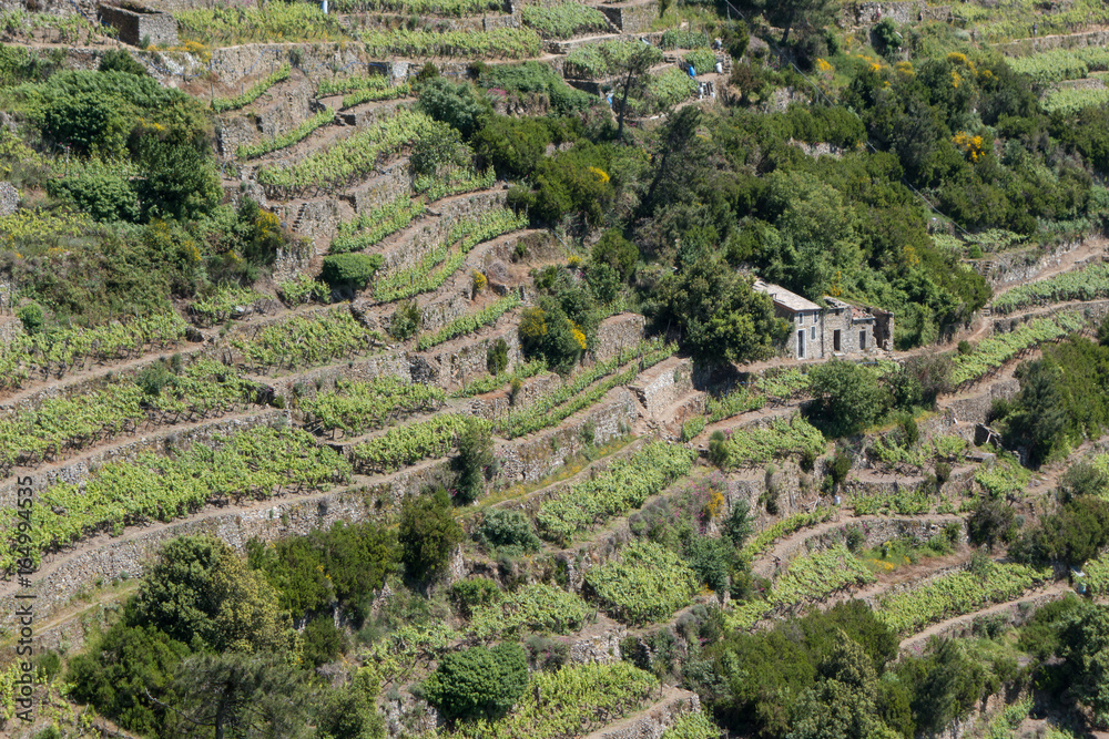 Küstenwanderweg Cinque Terre