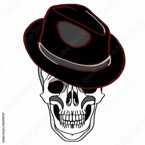 skull and hat photo