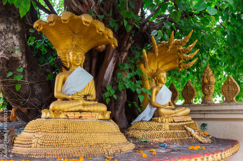 Wat That Luang Tai : タットルアンタイ・ビエンチャン photo