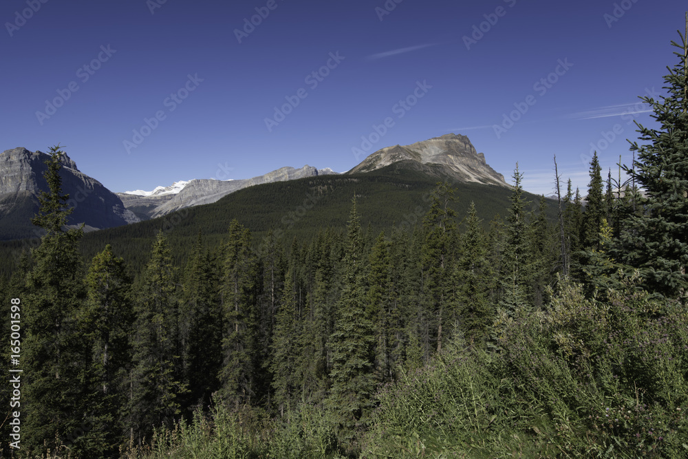 Obraz premium Mountain Wilderness