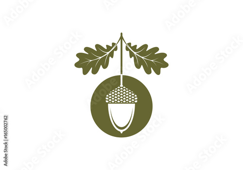 Acorn icon or logo in modern line style. Vector illustration on a white background.