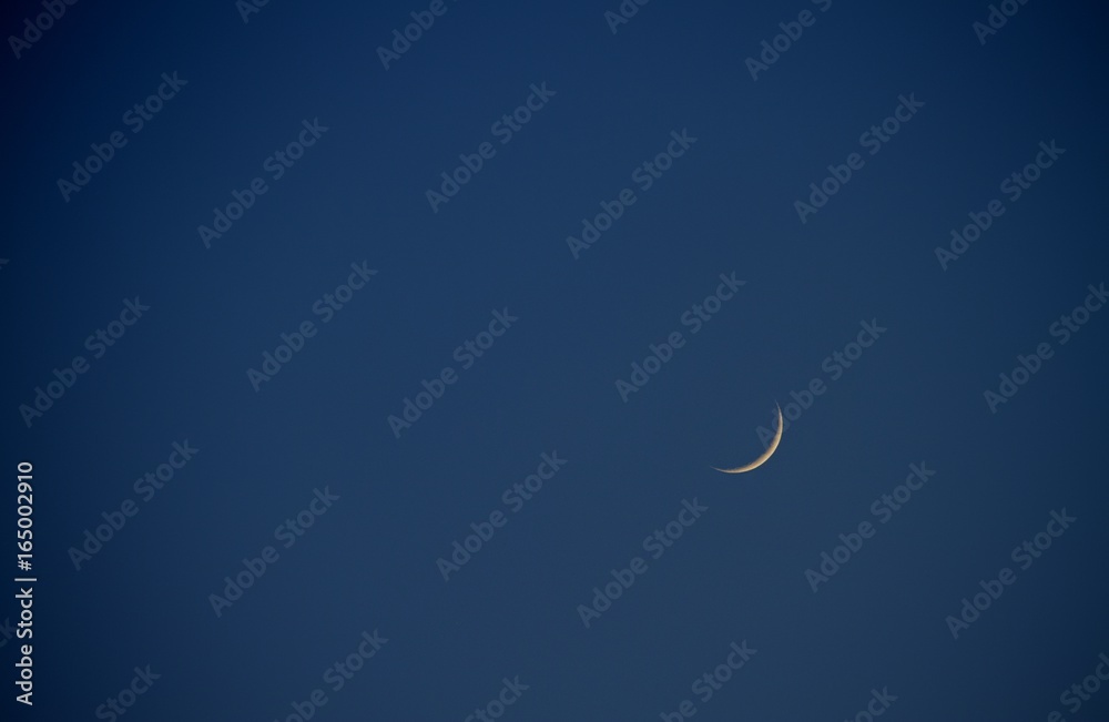 Crescent Moon Crescent Moon