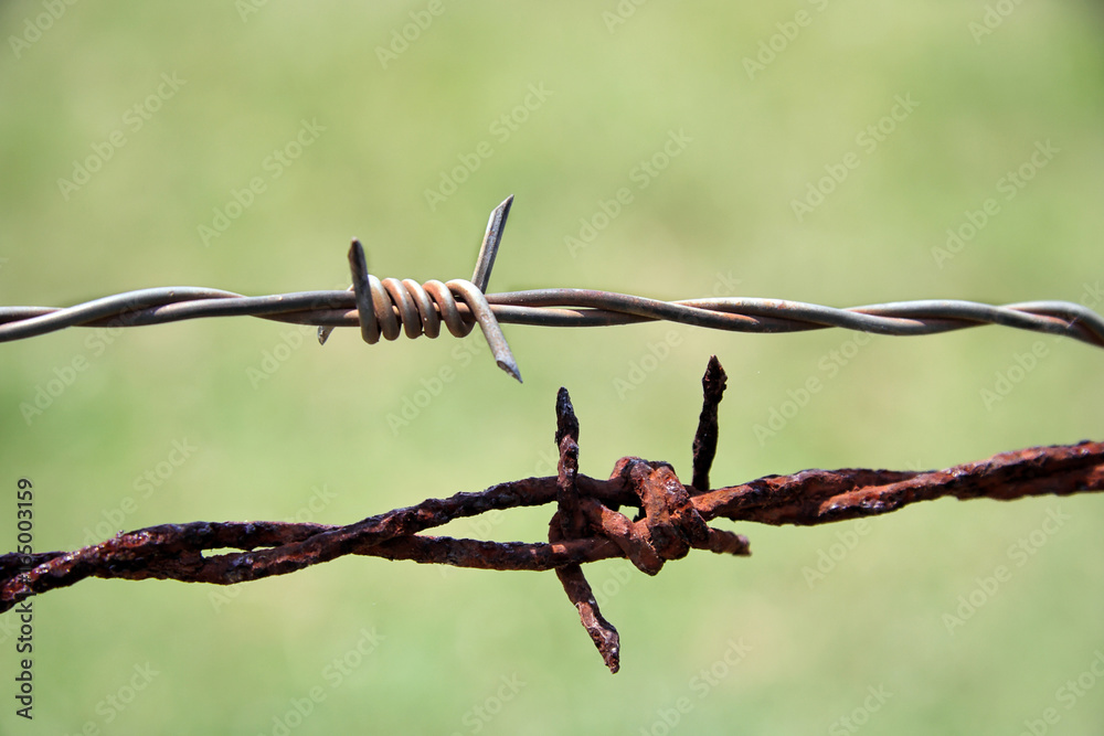 Shallow focus on two strands of rusting barbed wire.