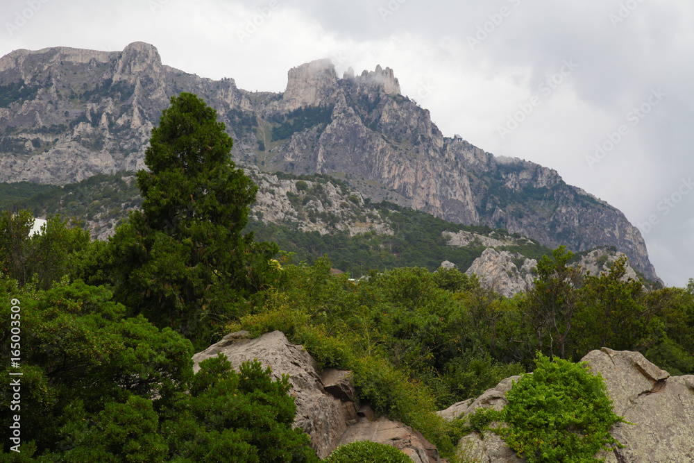 the rock and the forest at the bottom