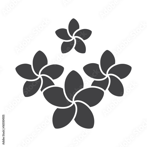 Spa salon plumeria flowers glyph icon