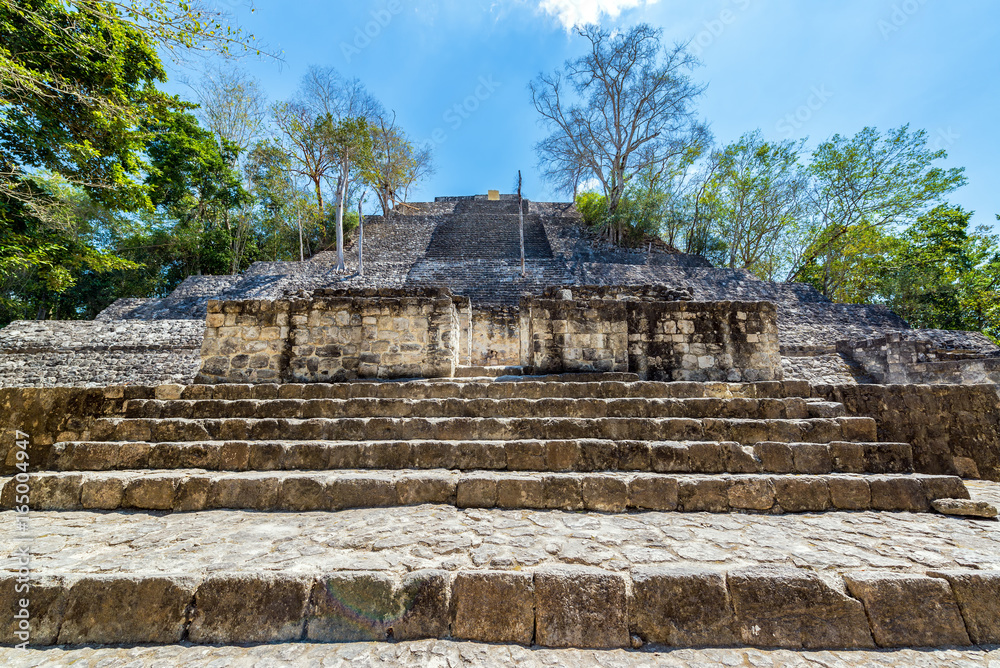 Pyramid in Calakmul, Mexico