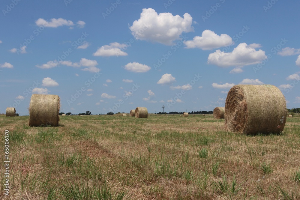 Round hay bales in field with sunny sky with clouds in Texas