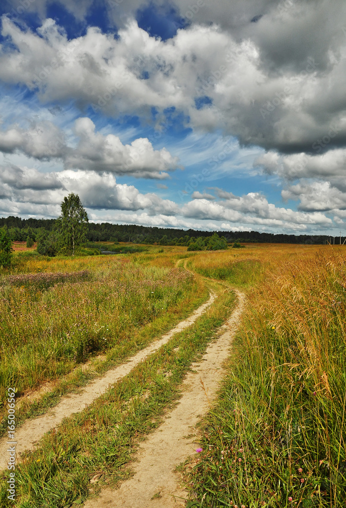 Obraz premium Summer landscape